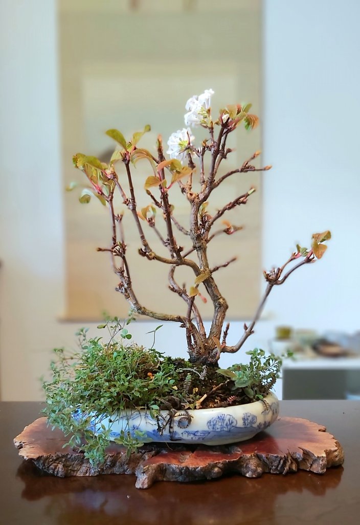20191027_114245.jpg