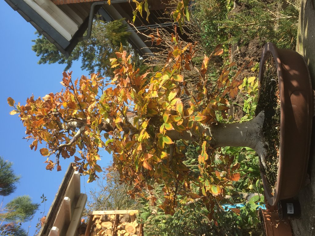 Herbst 2018