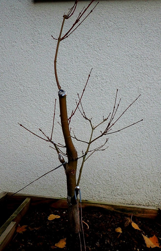 20191110_165451.jpg