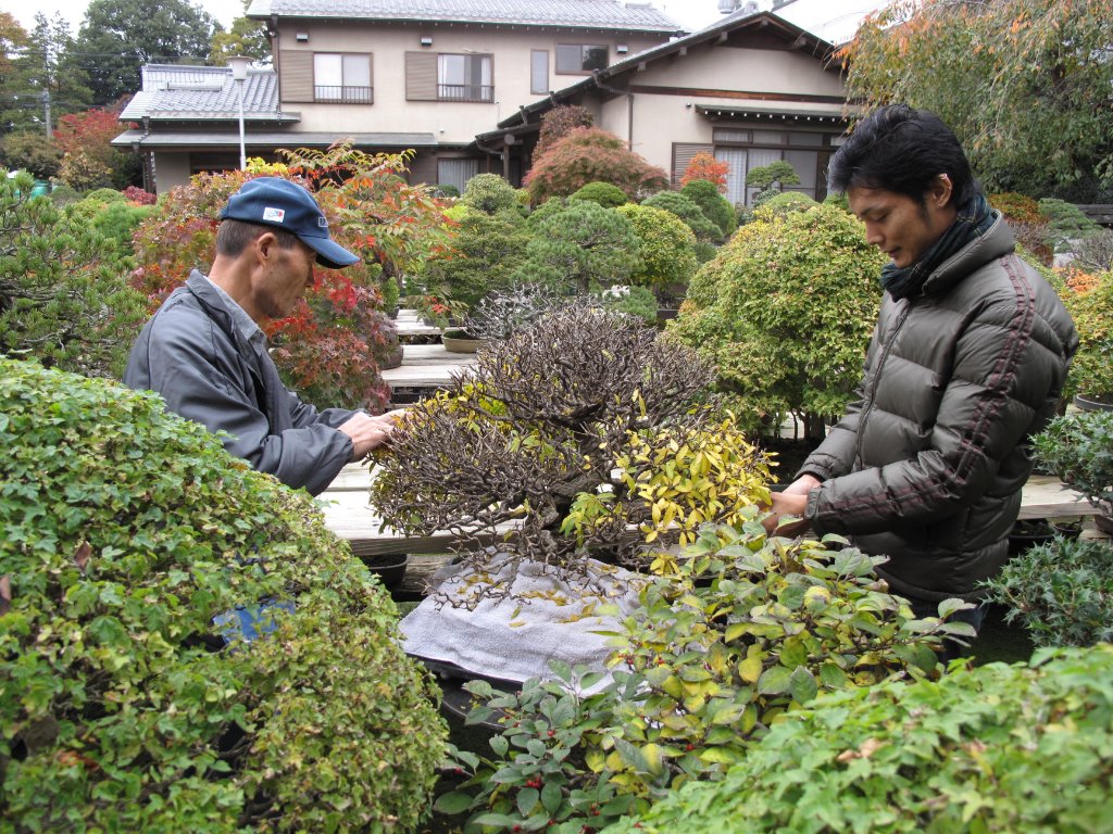 Japan 2009 143.jpg