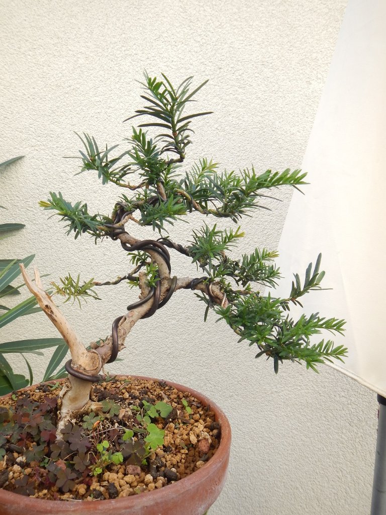 DSCN6502.jpg