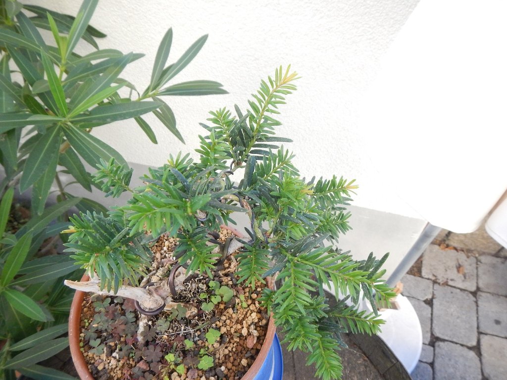 DSCN6503.jpg