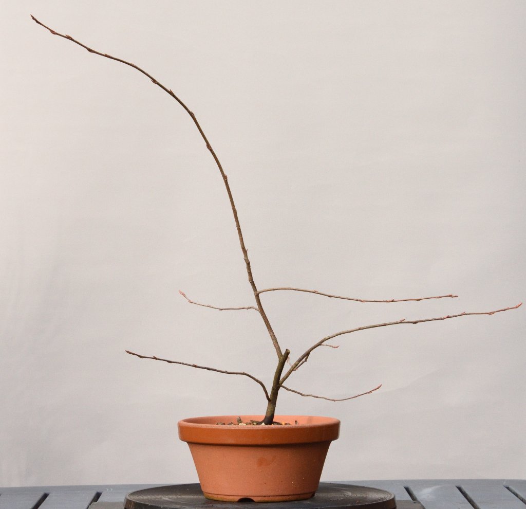 20191111_a.jpg