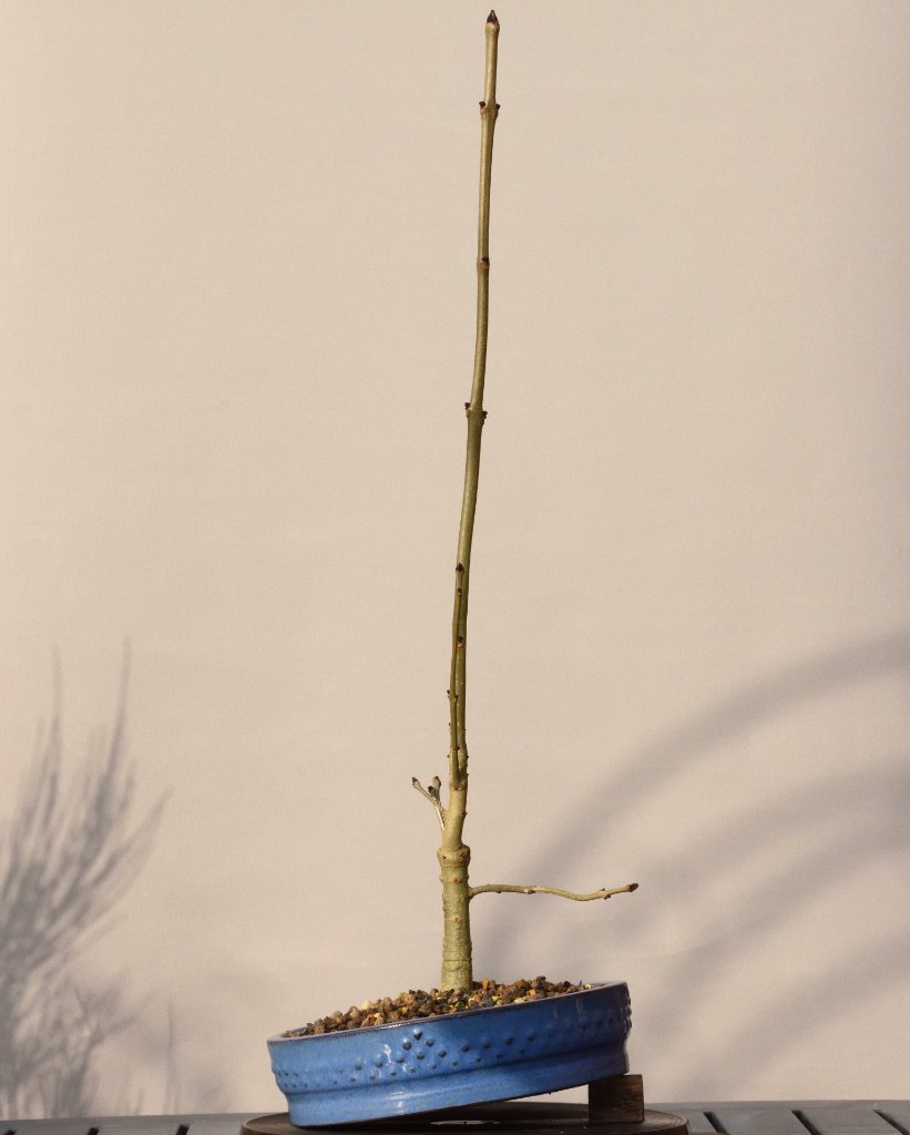 20191111_a.jpg