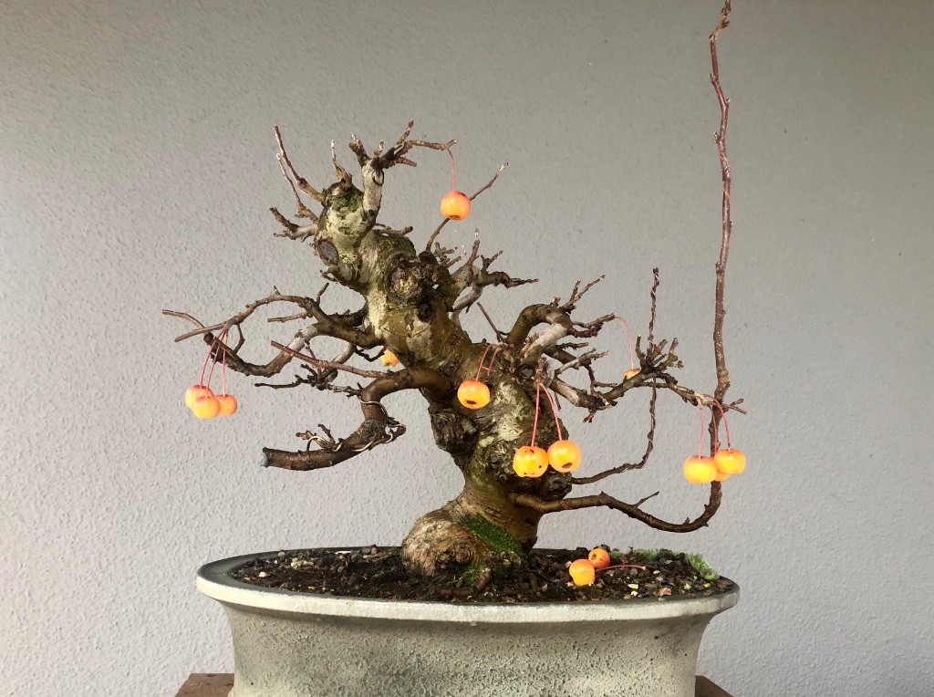 Nov 2019