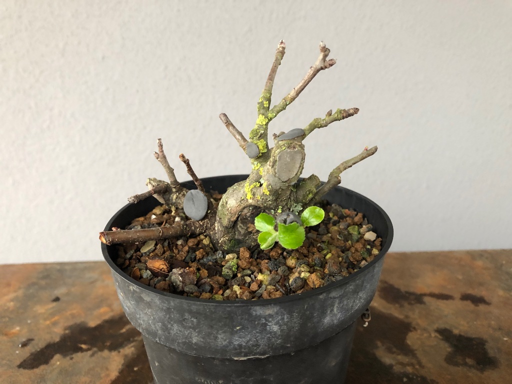 November 2019
