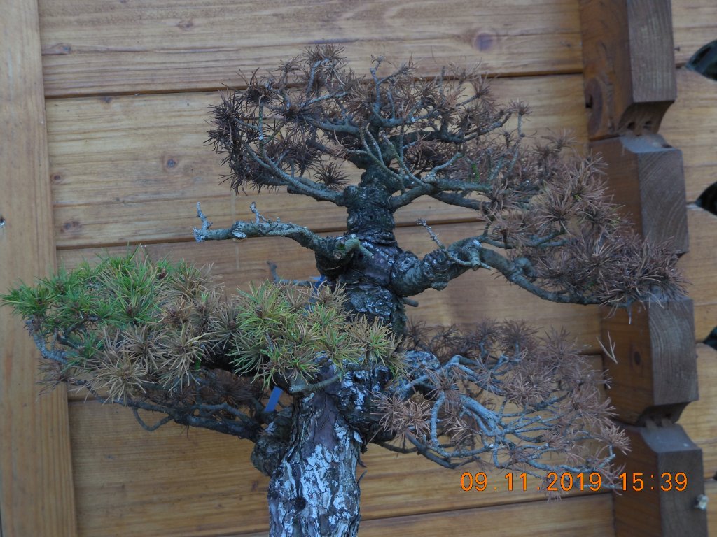 DSCN3645.JPG