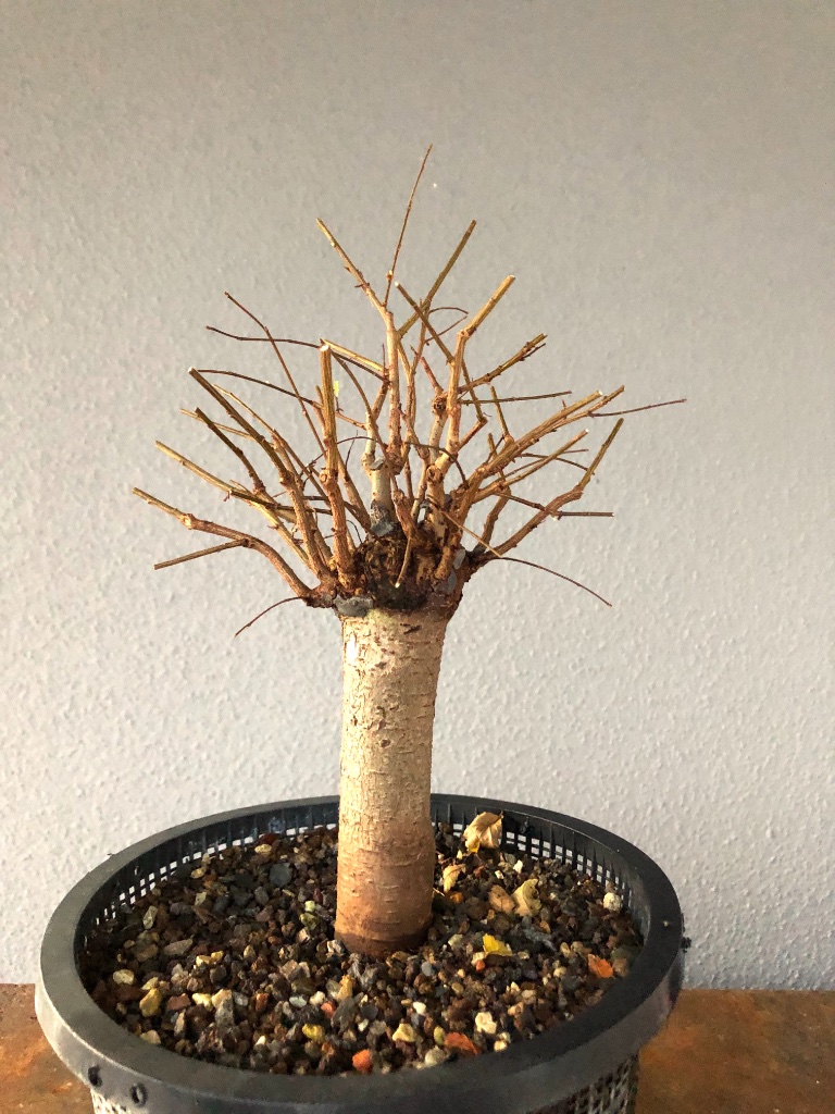 2019-10-27 -2.jpg