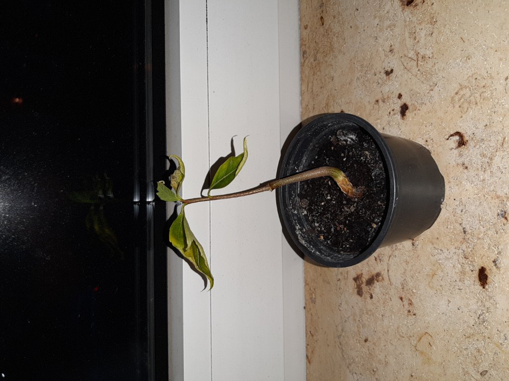 20191117_165727.jpg