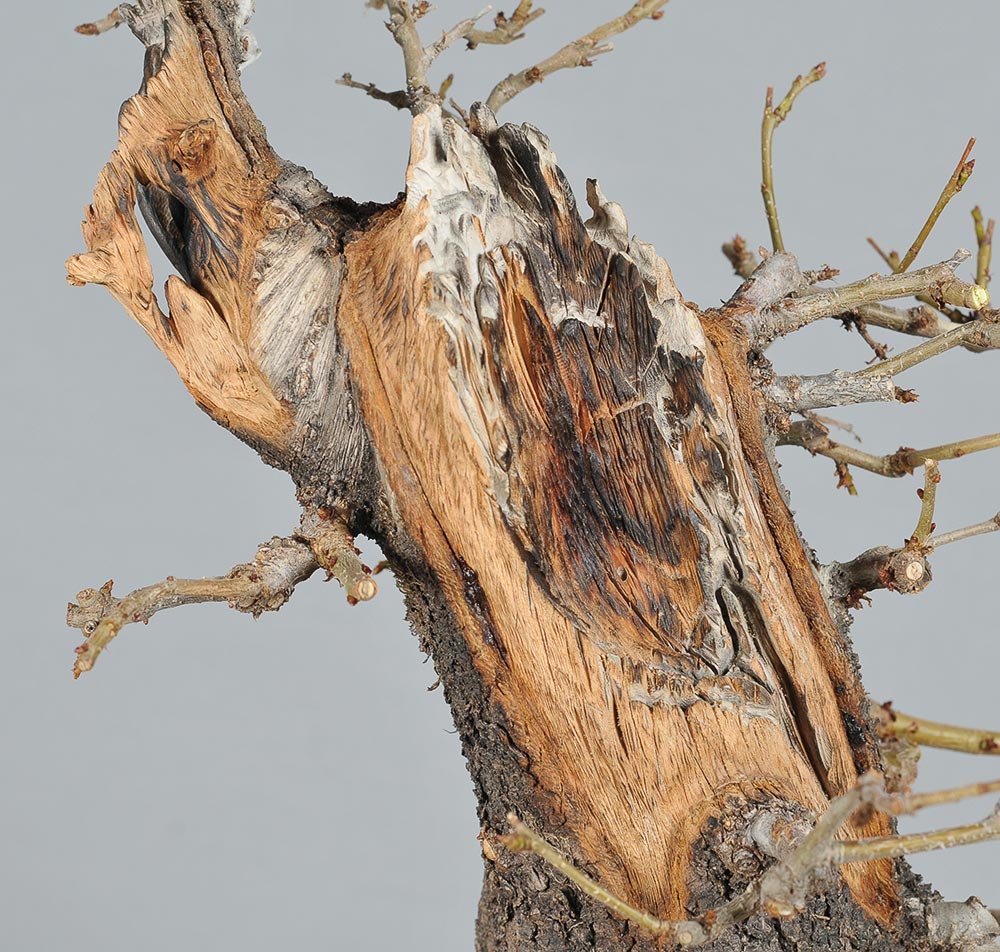 FS3_1672.jpg