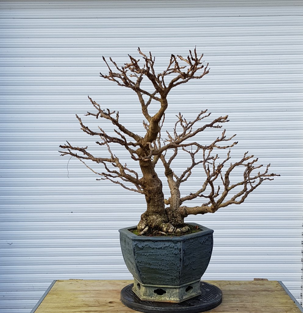 20191123_144006.jpg