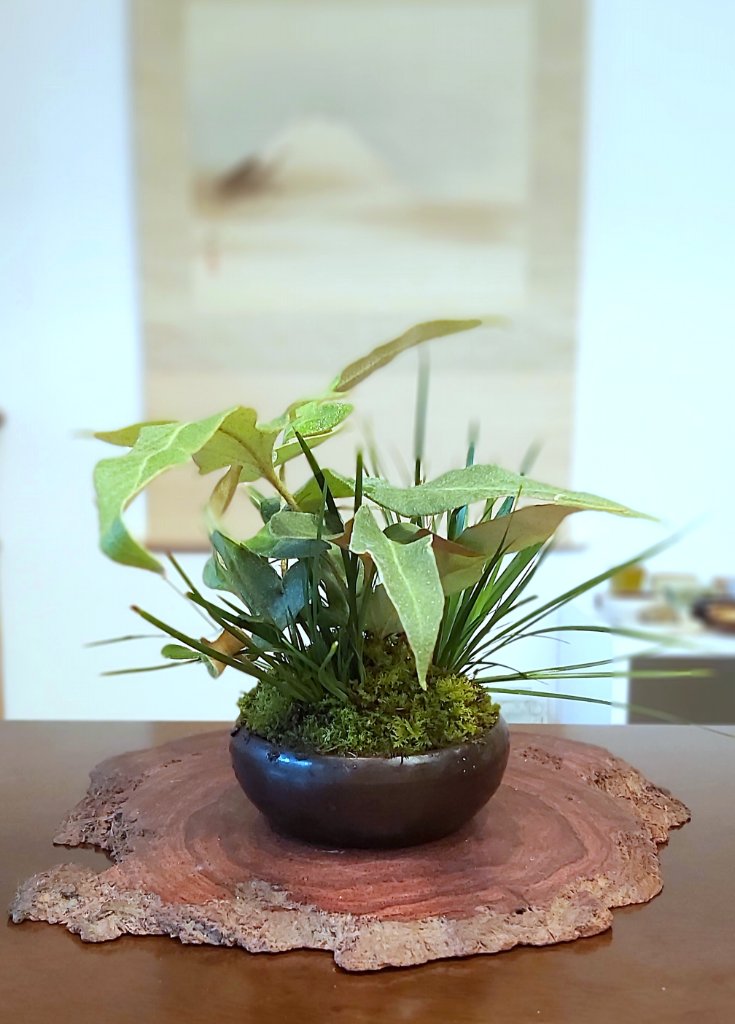 20191124_103112.jpg