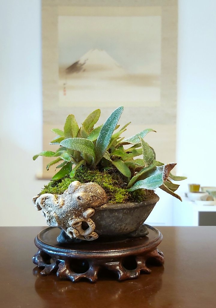 20191124_101549.jpg