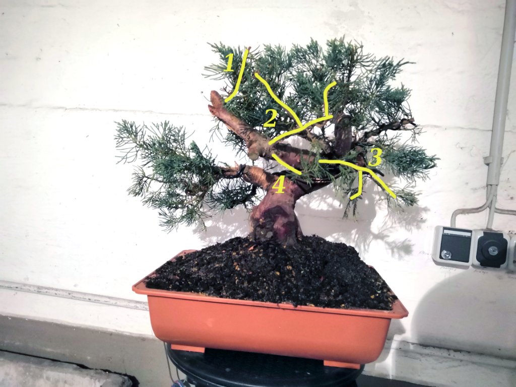 2019_11_g2.jpg