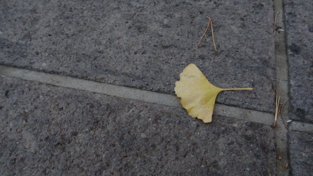 DSC01645.JPG