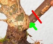 file-2.jpg