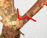 file-2.jpg