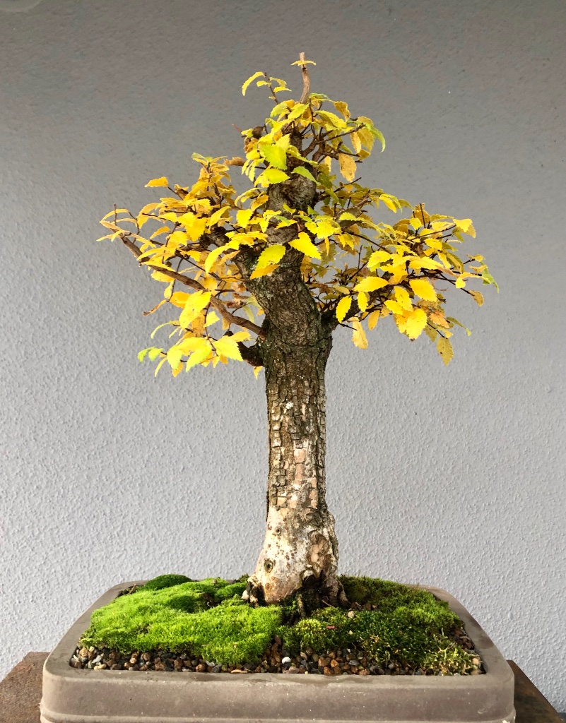 19. Nov 2019