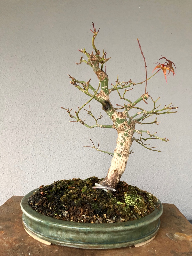30. Nov 2019