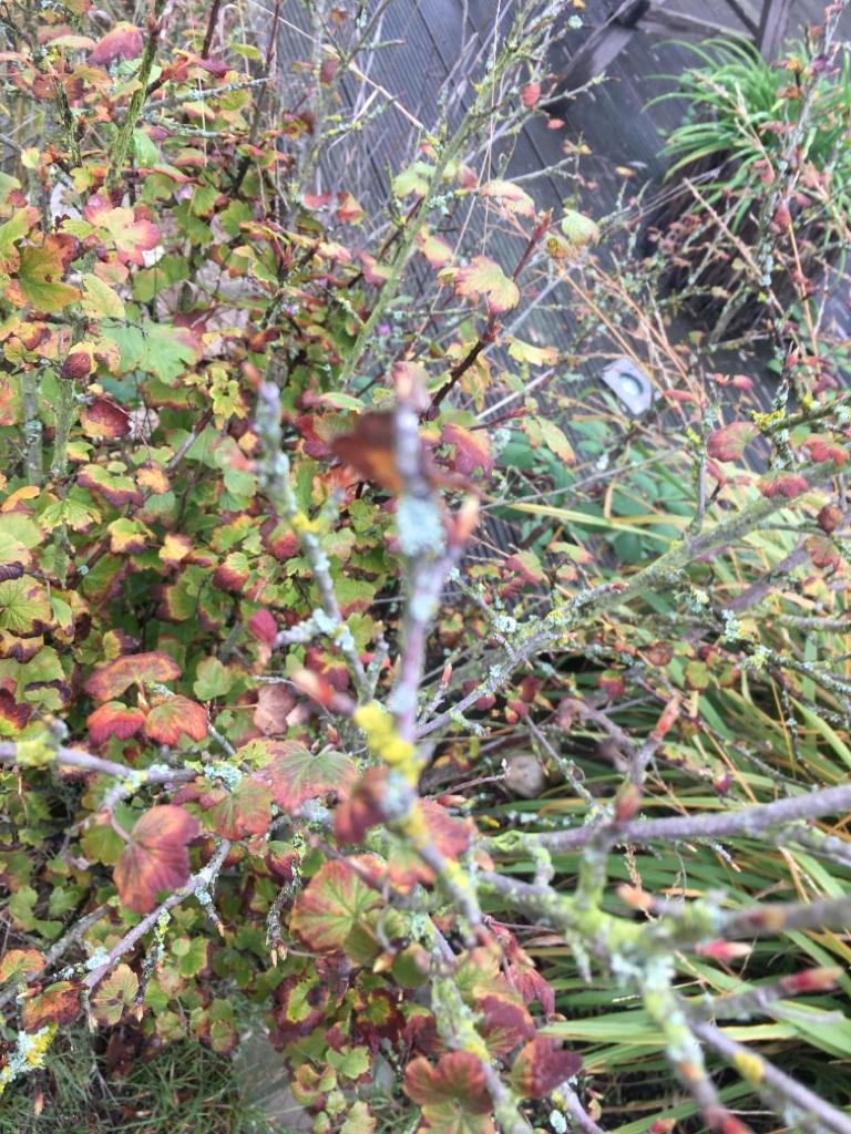 IMG-20191025-WA0022.jpg