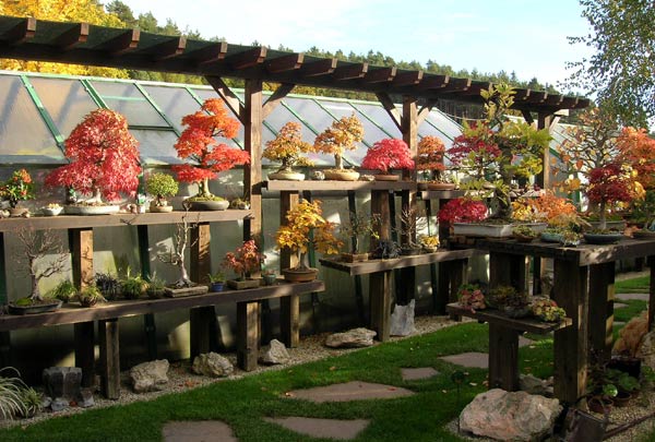 1025200608_Herbst-Garten.jpg