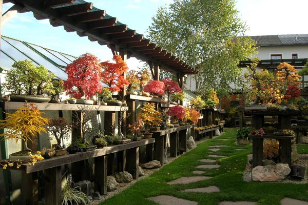 1025200607_Herbst-Garten.jpg