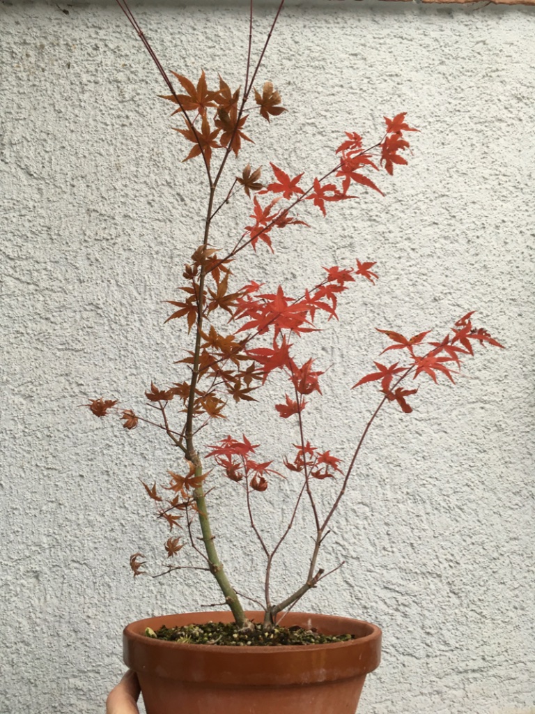 11/19
