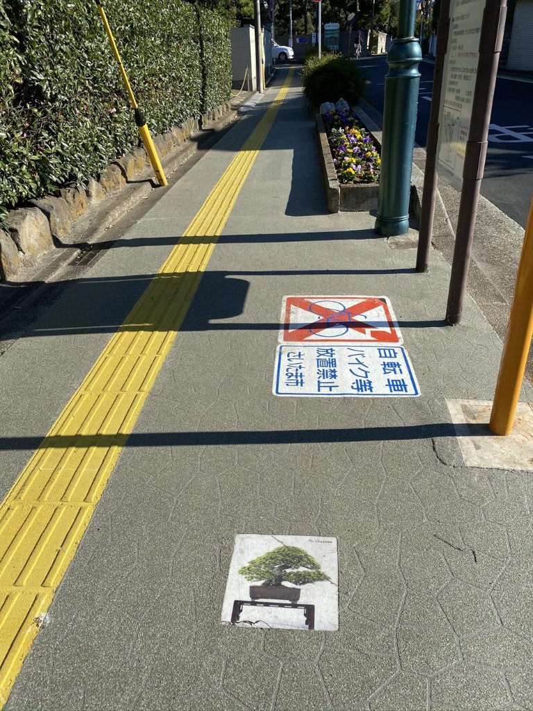 Apple-0079.jpg
