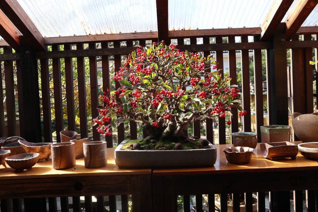 IMG_0108.JPG