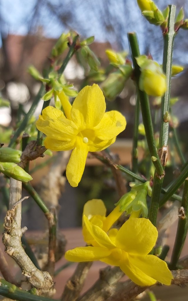 20191208_112522.jpg