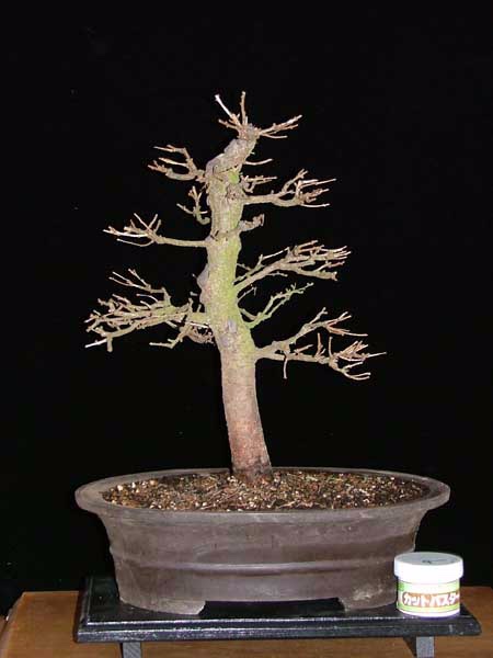 Februar 2007