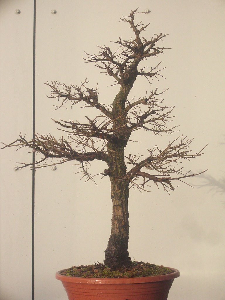 Winter 2019
