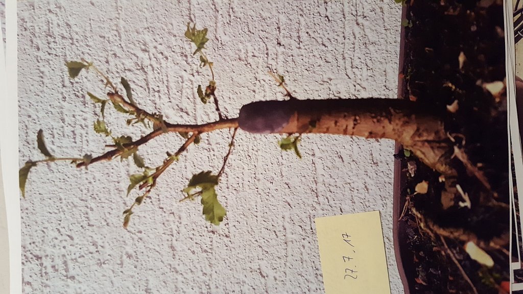 20191215_185438.jpg