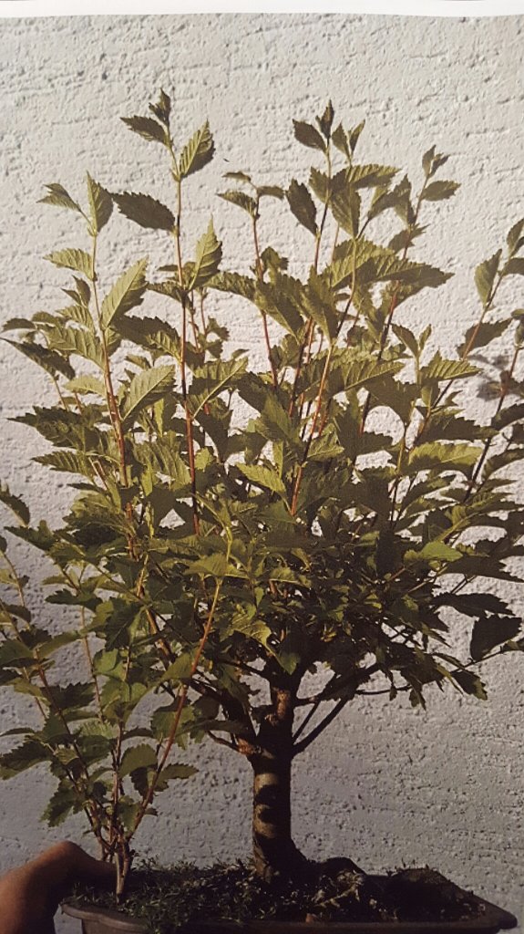 20191215_191051.jpg