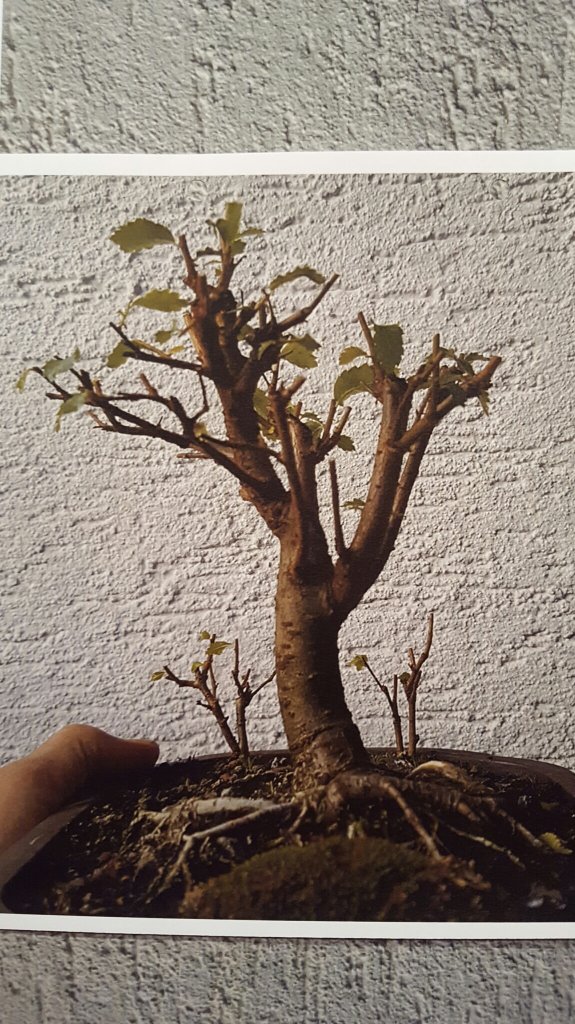 20191215_191214.jpg