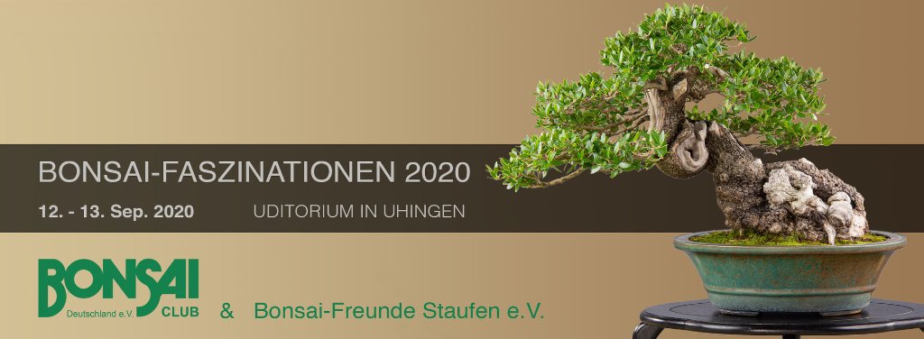 2020-Faszinationen-Logo.jpg
