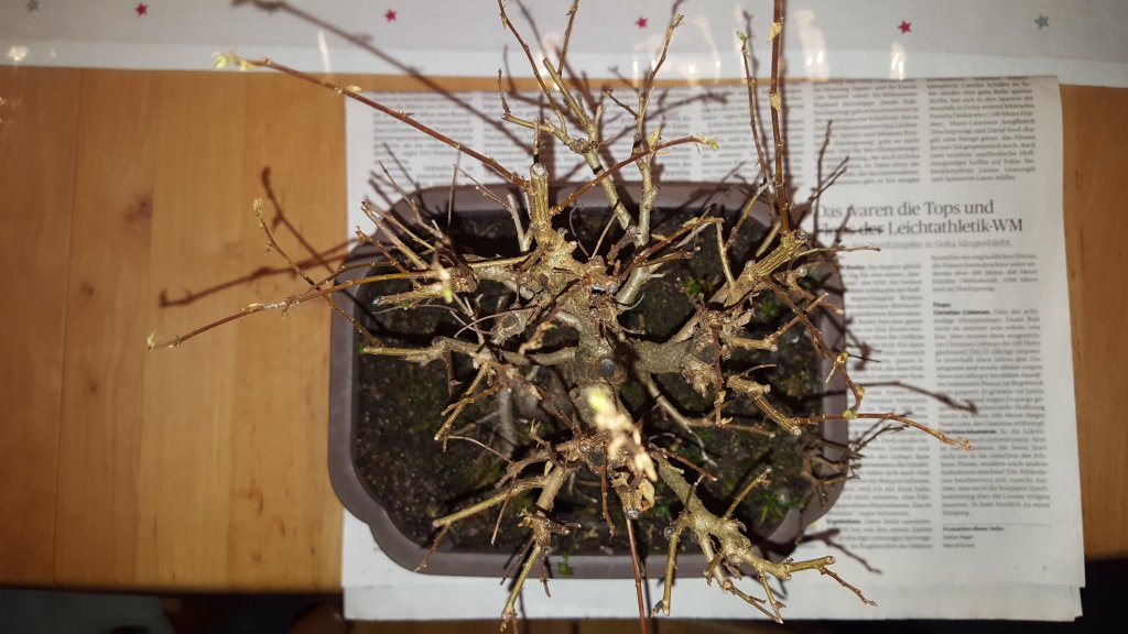16.12.2019