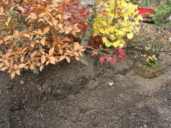 1028200602Einwintern.jpg
