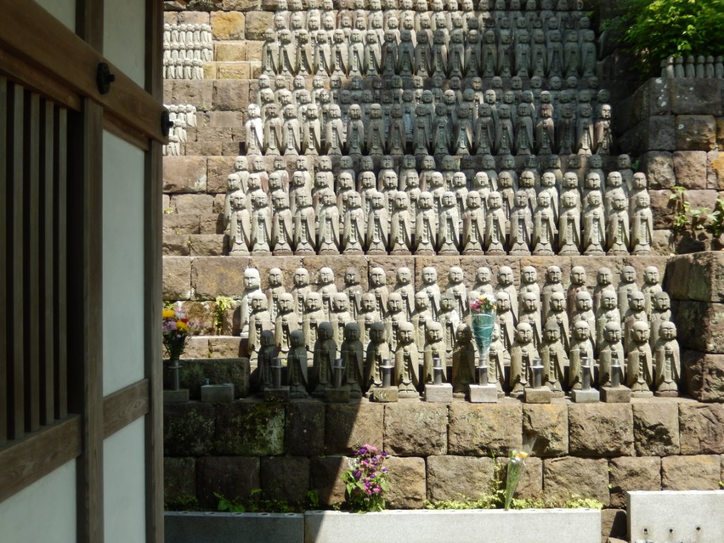 DSCN0704.jpg