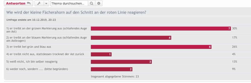 Abstimmungsergebnis