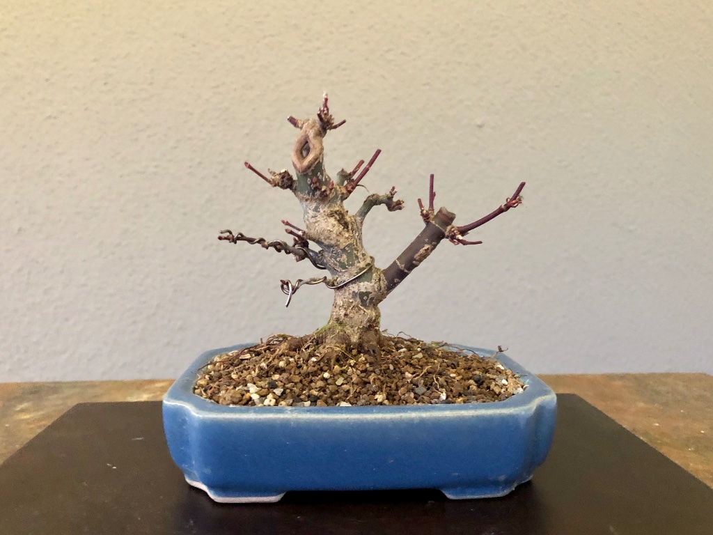 27. Dez 2019