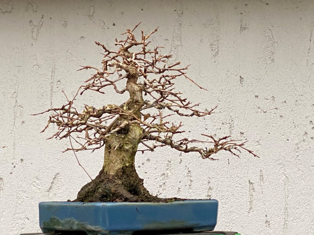 Denkbare Ansichtseite