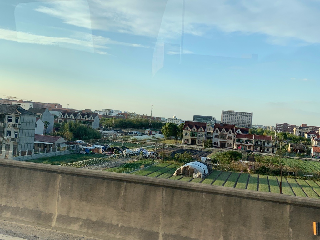 1_IMG_9464.jpeg