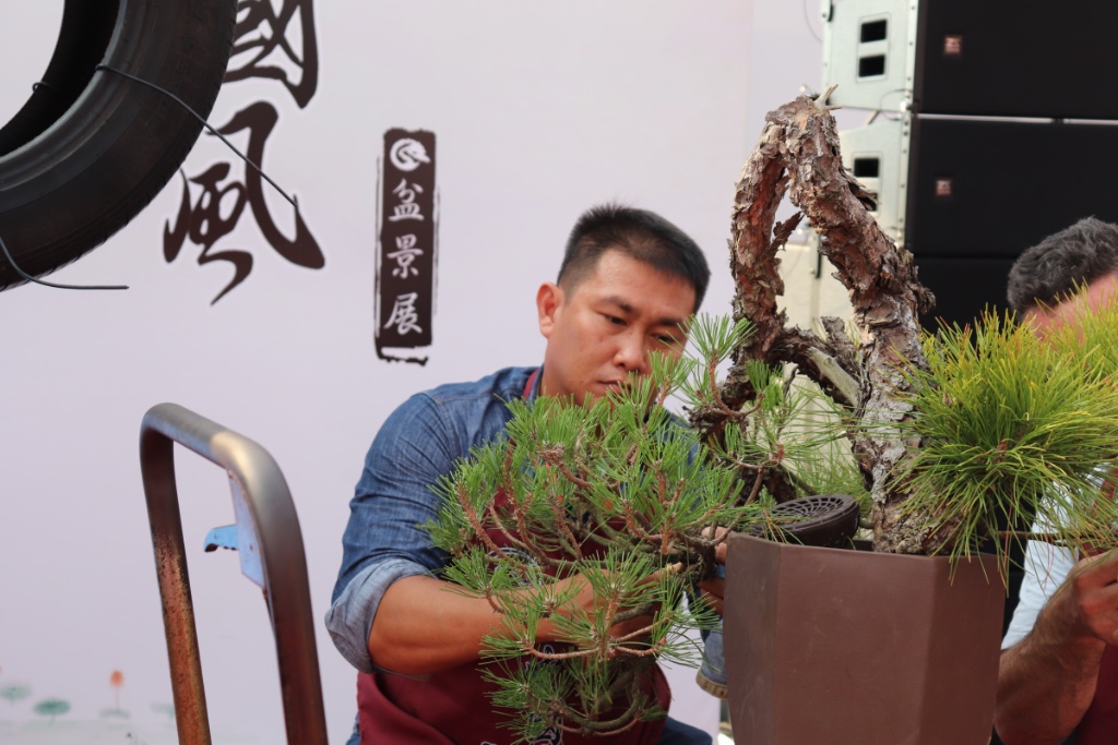 Wyn Lee