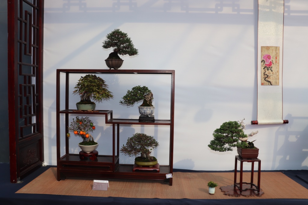 Ein sehr japanisch angelegtes Shohin-Display. Die Kaki unten links bewegt sich eigentlich in die falsche Richtung, ist aber ein schönes Exemplar