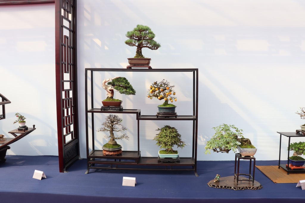 Richtig schön. Die beiden unteren Bäume kommen etwas hoch, auf flacheren Unterlegern kämen sie m.E. noch besser. Eigentlich recht japanisch, aber chinesische Figur beim Komplementär