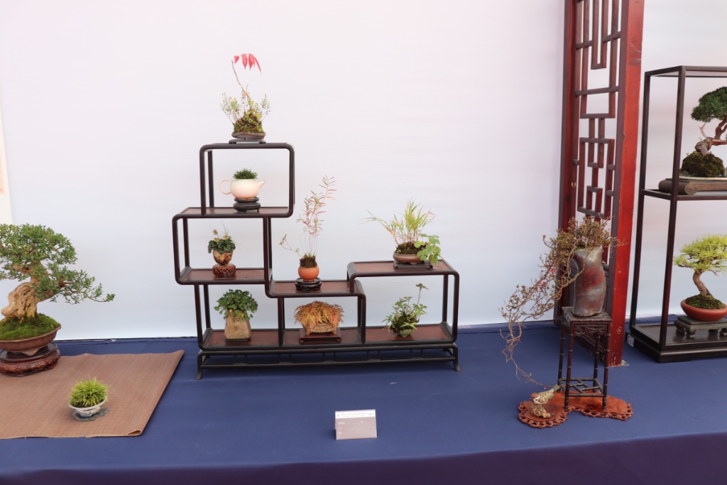 Süßes Kusamono/Shitakusa-Display