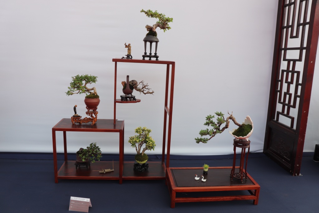 Ein sehr chinesisches Display mit interessanten Details