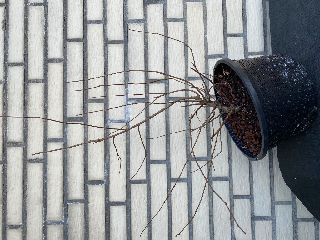 Winterbild 2019/2020