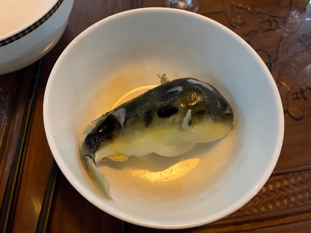 Fugu von der Seite. So niedlich, der Arme